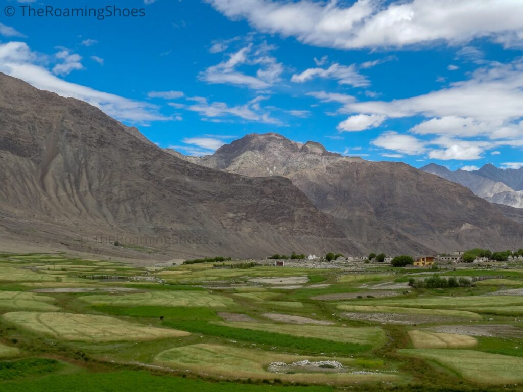 View on the way to Nubra