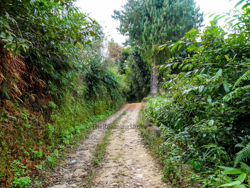 Chhota Mangwa Village Road