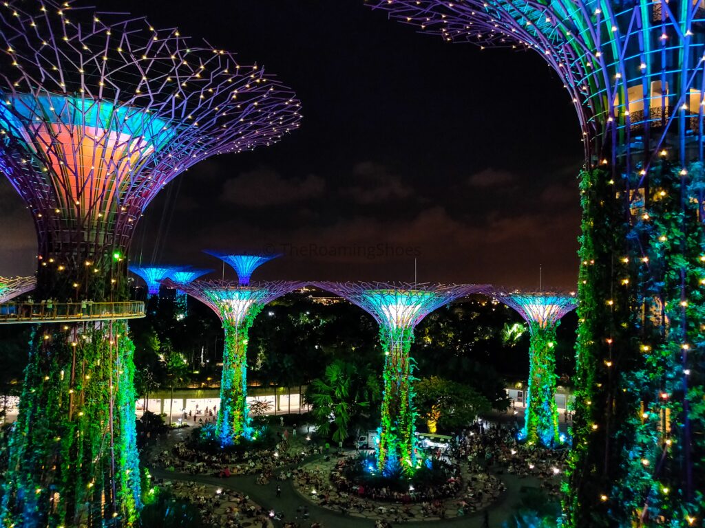 Supertrees during light sound show