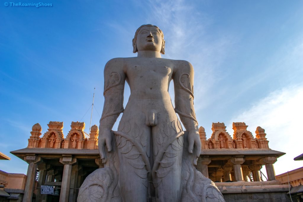 The statue of Gomateswara