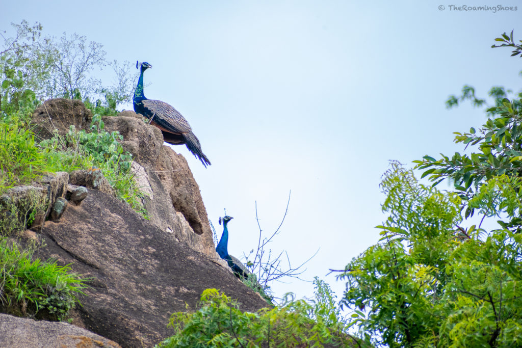 A trip to Chitradurga Fort from Bangalore Karnataka - The Fort of Seven  Circles - The Revolving Compass