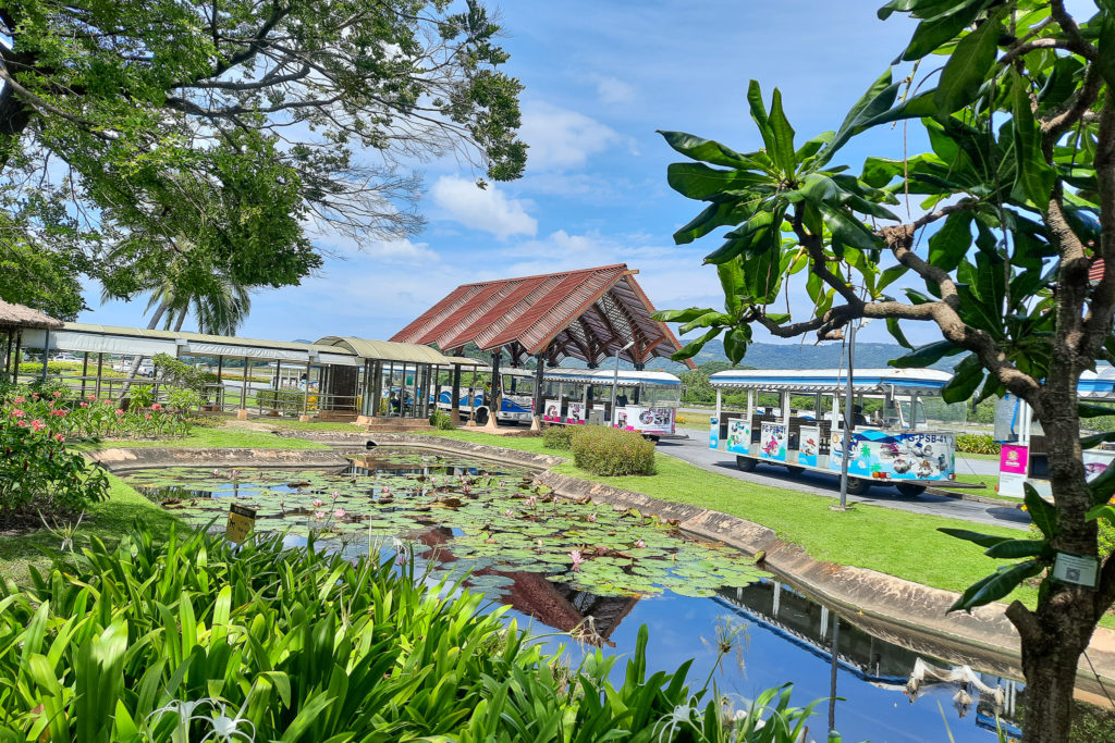 Koh Samui airport